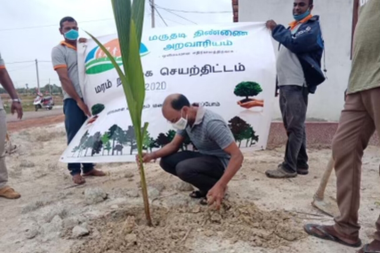 tree planting project 2020