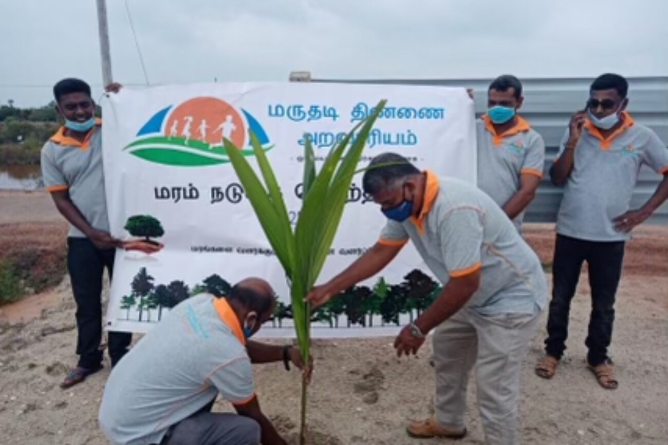 tree planting project 2020