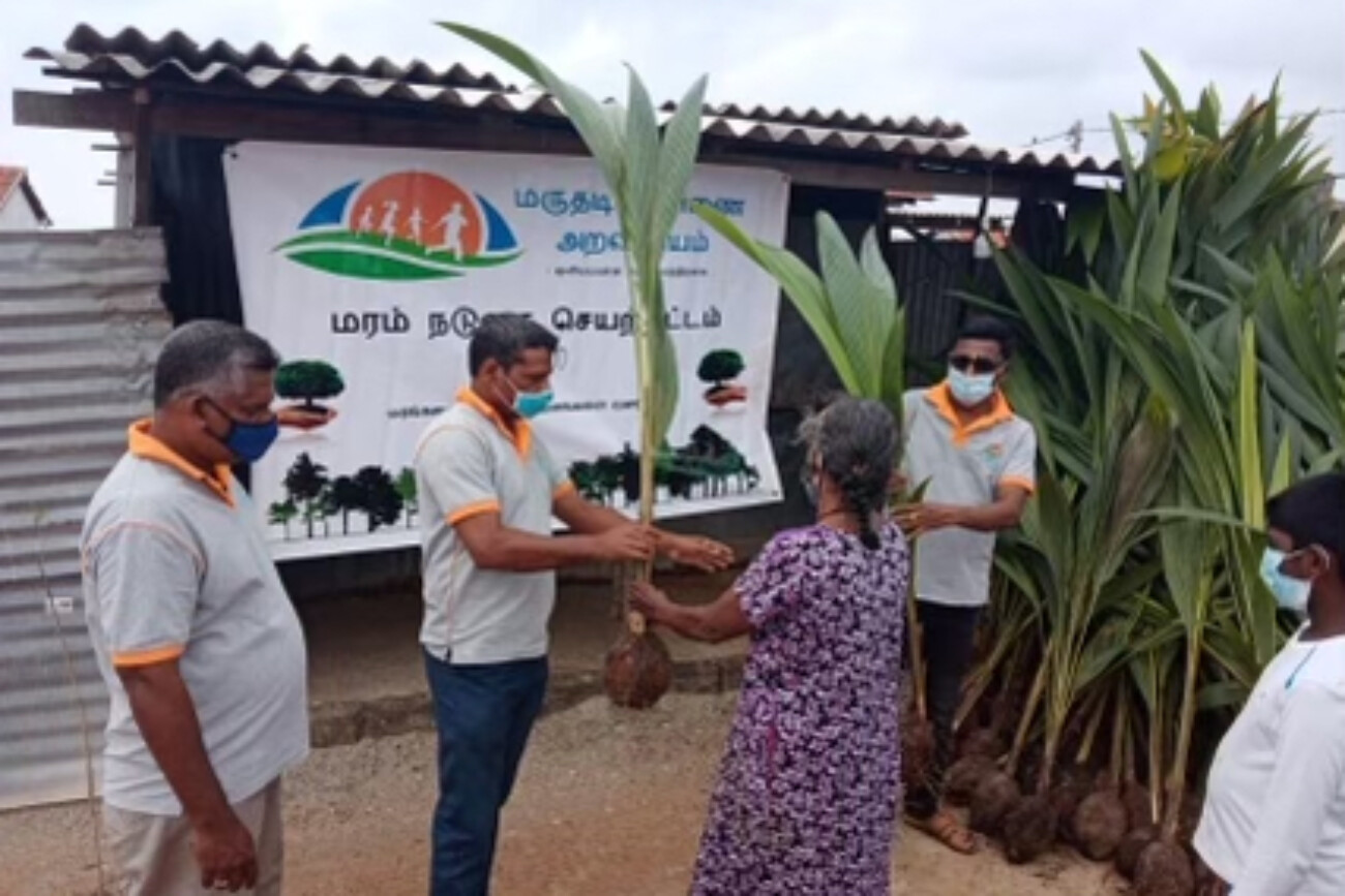 tree planting project 2020