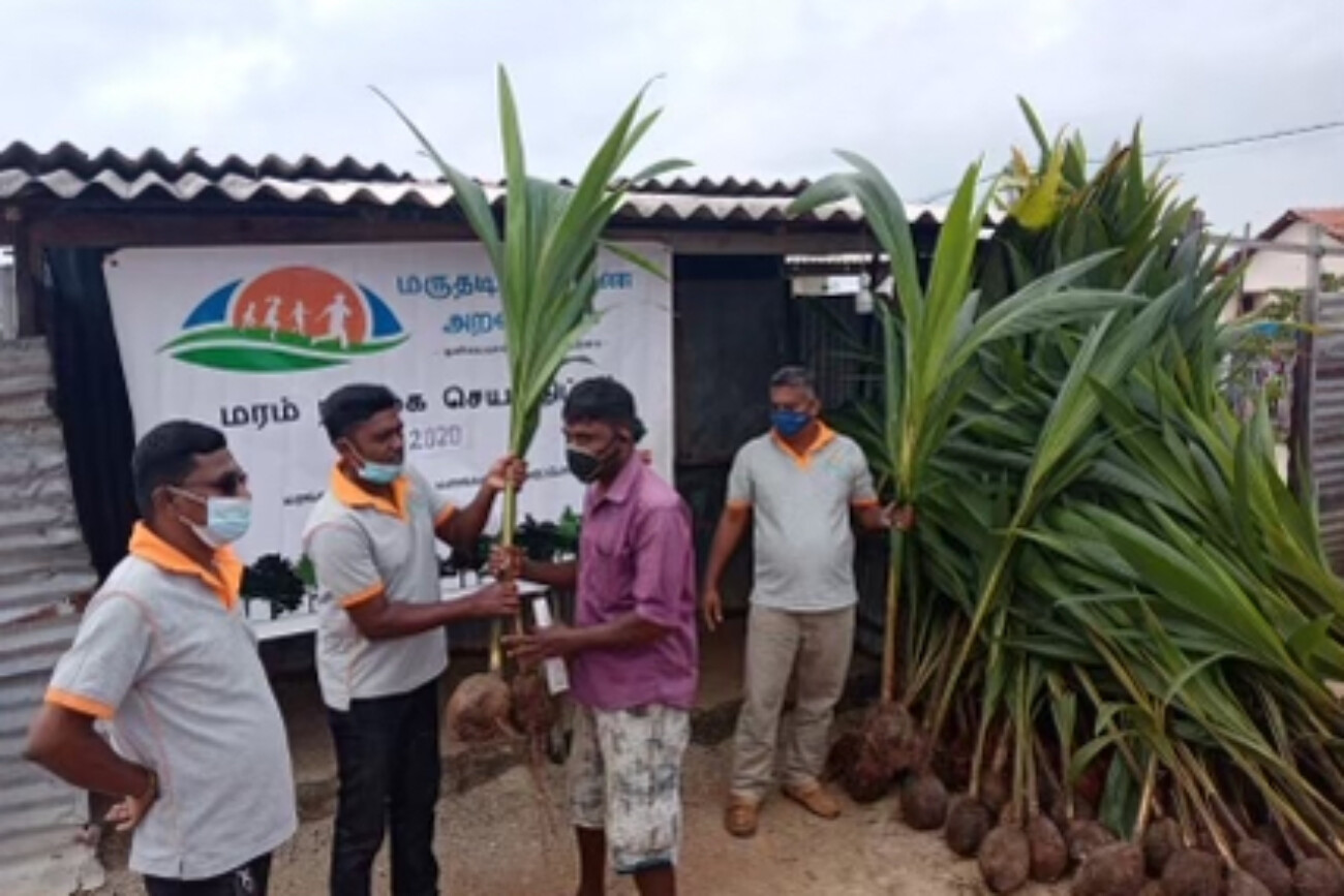 tree planting project 2020