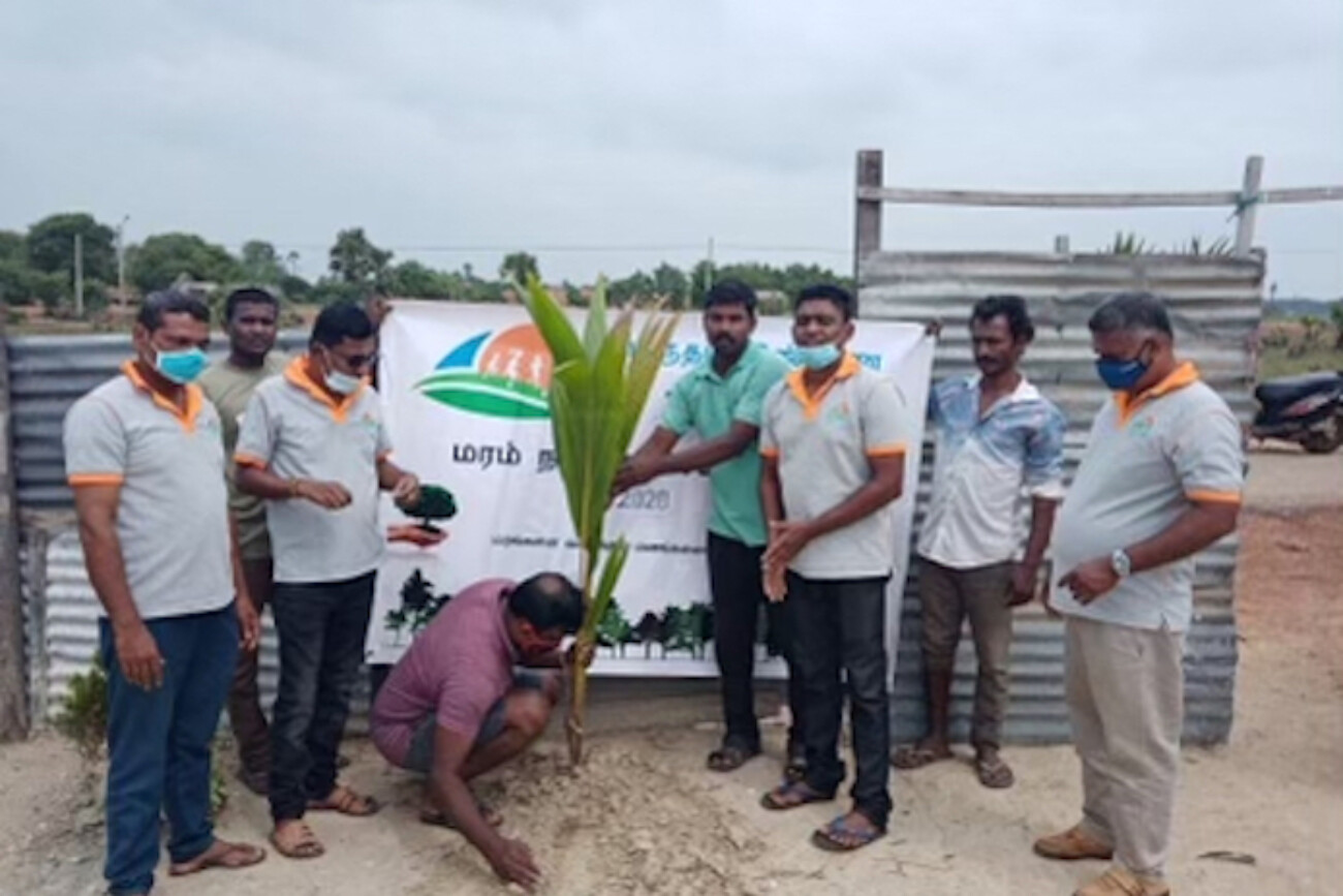 tree planting project 2020