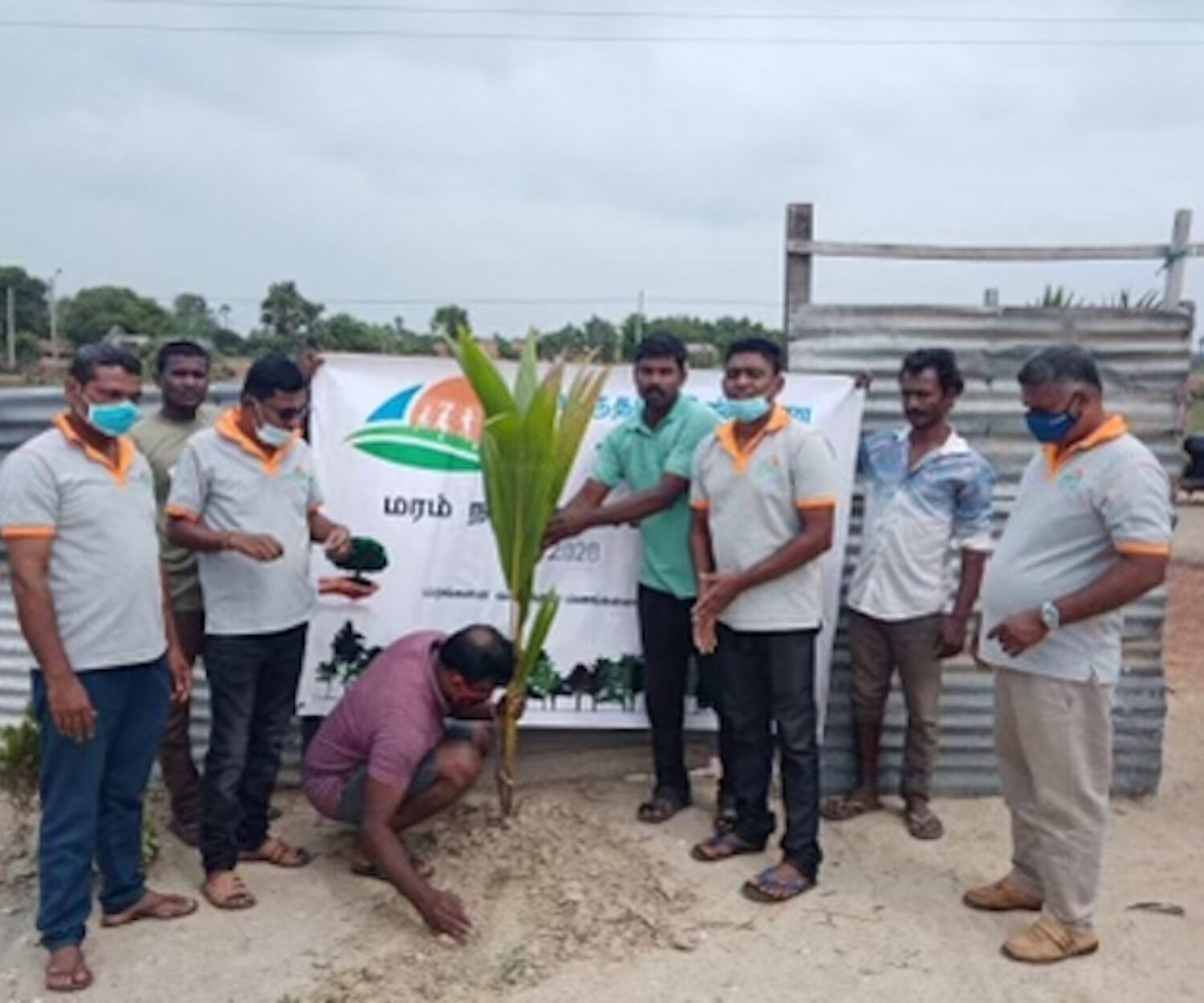 tree planting project 2020