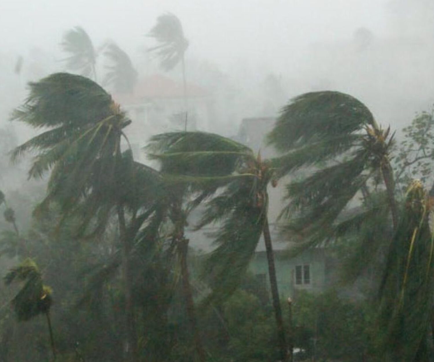 cyclone burevi flood relief