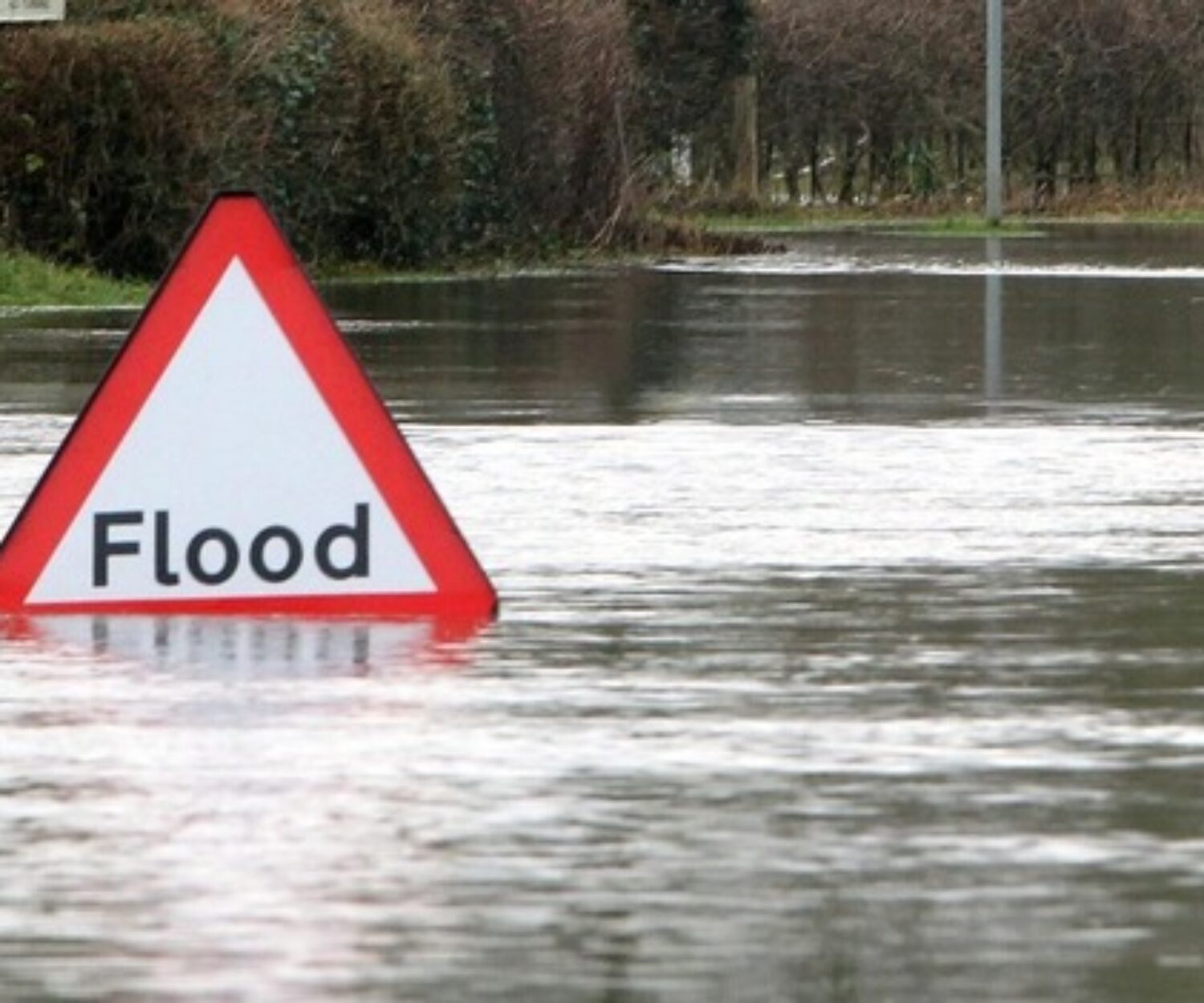 flood relief dinner anaikoddai