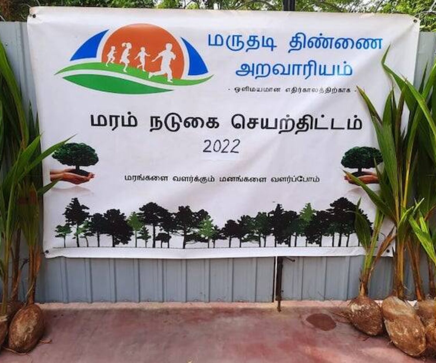 coconut trees donation 2022