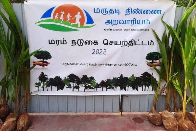 coconut trees donation 2022
